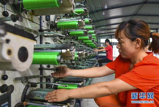 河北景縣 研發(fā)環(huán)保應(yīng)用橡塑產(chǎn)品 助力企業(yè)轉(zhuǎn)型升級(jí)