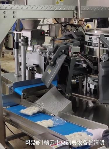 水產(chǎn)深加工做魚丸都需要哪些機器 全套自動魚丸加工設(shè)備介紹